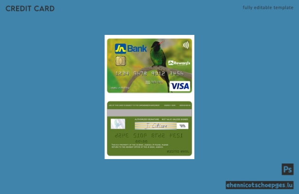 Jamaica JN Bank Visa Classic Kreditkarte – Beispielvorschau